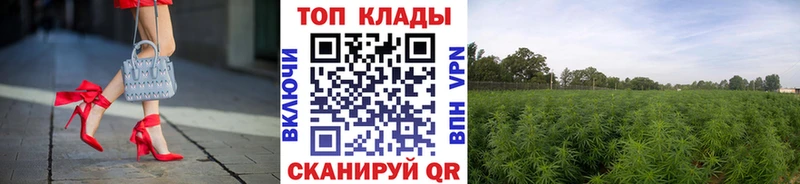 Виды наркотиков купить Отрадное COCAIN АМФЕТАМИН Мефедрон ГАШИШ Марихуана