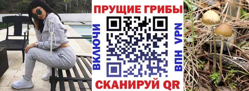 ОМГ ОМГ рабочий сайт  Отрадное  Галлюциногенные грибы Psilocybe 