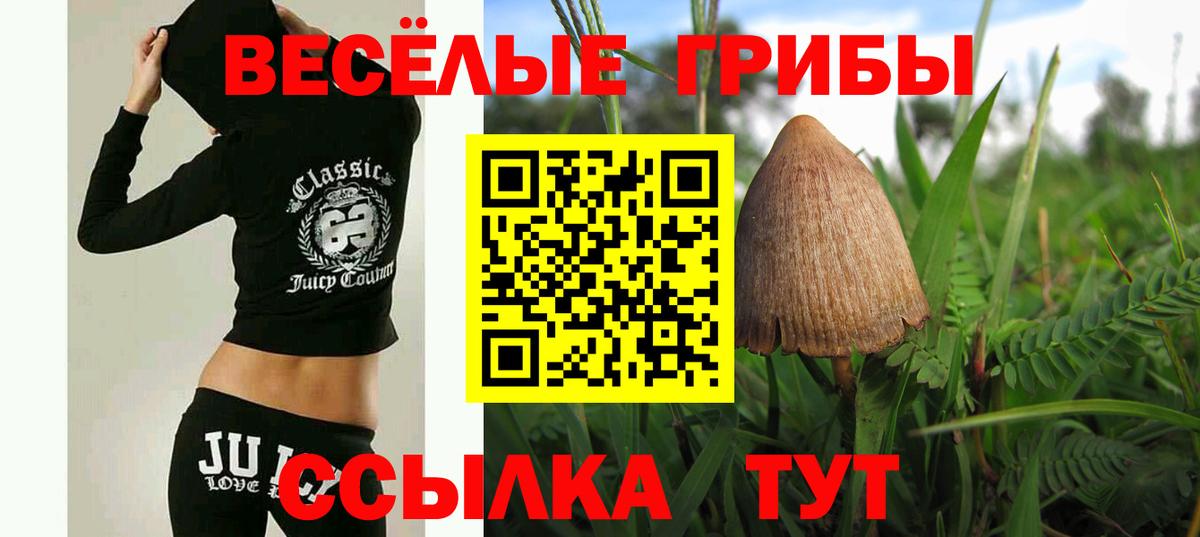 Отрадное  Галлюциногенные грибы прущие грибы  Вход с VPN 